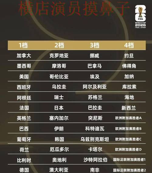 世界杯投注平台安全入口直播怎么看？解析给你答案（World Cup 2026）