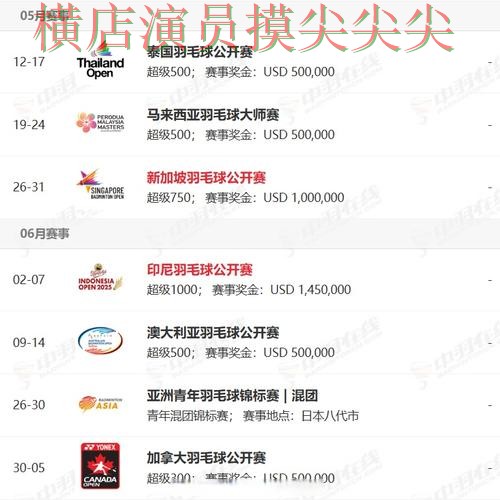 世界杯买球网站揭秘报告：访问方式+直播与实际体验总结 - World Cup 2026
